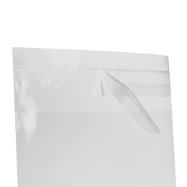 Plastic Bag with Adhesive Flap Cellophane 12x18cm G-160 (100 Units)  