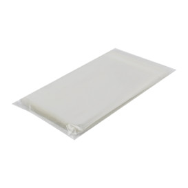 Plastic Bag with Adhesive Flap Cellophane 12x18cm G-160 (100 Units)  