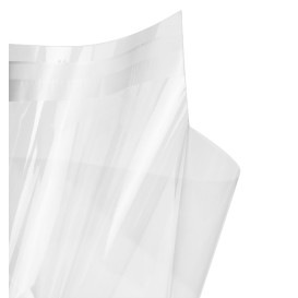 Plastic Bag with Adhesive Flap Cellophane 15x22cm G-160 (100 Units)  