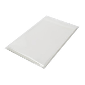 Plastic Bag with Adhesive Flap Cellophane 15x22cm G-160 (100 Units)  