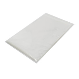 Plastic Bag with Adhesive Flap Cellophane 22x32cm G-160 (100 Units)  