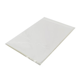 Plastic Bag with Adhesive Flap Cellophane 25x35cm G-160 (1000 Units)