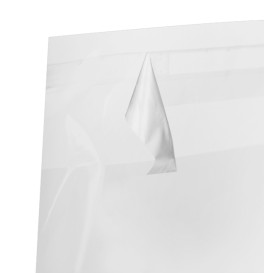 Plastic Bag with Adhesive Flap Cellophane 35x45cm G-160 (100 Units)  