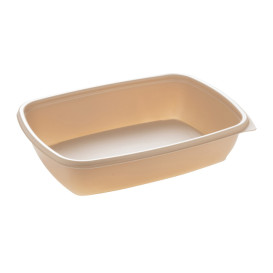 Plastic Container and Plastic Lid PP Rectangular Shape 750ml (300 Units)