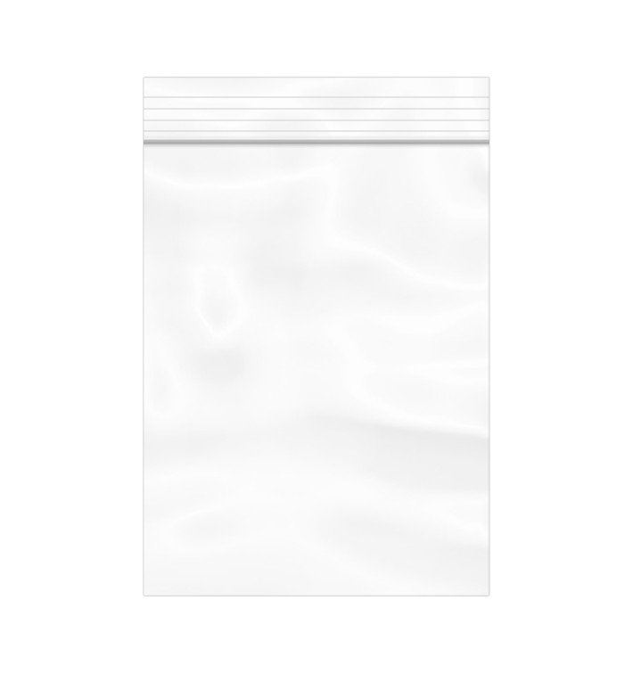 Plastic Zip Bag Autoseal 18x25cm G-160 (100 Units)  