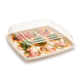 Plastic Lid PET Clear 36x36cm (25 Units)