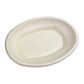 Sugarcane Tray 500ml 24x17x4cm (300 Units)