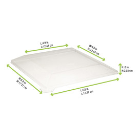 Plastic Lid PET Clear 17x17cm (100 Units)