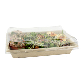 Plastic Lid PET for Tray 23x16cm (50 Units) 