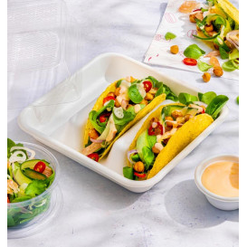 Sugarcane Taco Container White 18,5x18,5cm (50 Units)