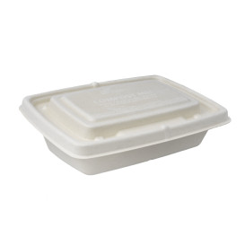 Sugarcane Lid for Container 23x16,5cm (75 Units)  