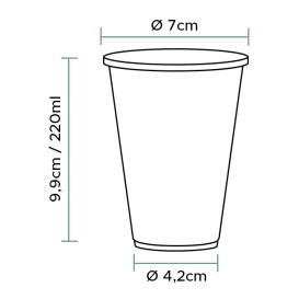 Plastic Cup PP Clear 220ml (100 Units)