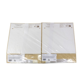 Square Cardboard Box PackiPack Vision Kraft 24x24x6cm (50 Units)