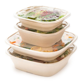 Plastic Lid PET for Bowl Clear 36x36cm (25 Units)