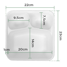 Papper Container Heat Sealable Kraft 550ml 19,2x13,7x2,7cm (65 Units)  