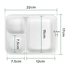 Sugarcane Tray 17x5,5x3,8cm (1000 Units)