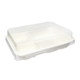 Lid in rPET for Sugarcane Tray 16,5x21,5cm (200 Units)