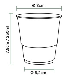 Compostable PLA Cup Clear 250ml (50 Units)