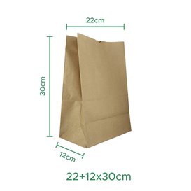 Paper Bag without Handle Kraft 50g/m² 22+12x30cm (1.000 Units)