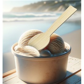 Bamboo Teaspoon 9cm in box (50 Units)