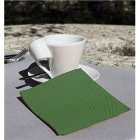 Paper Napkin Micropoint Green 20x20cm 2C (100 Units)  