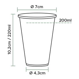 Plastic Cup PP White 220ml (3.000 Units)