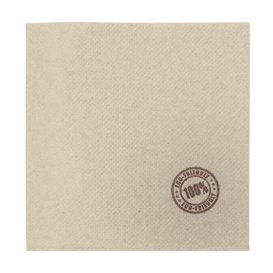 Eco-Friendly Cocktail Napkin Double Point 20x20cm 2-ply (2.400 Units)