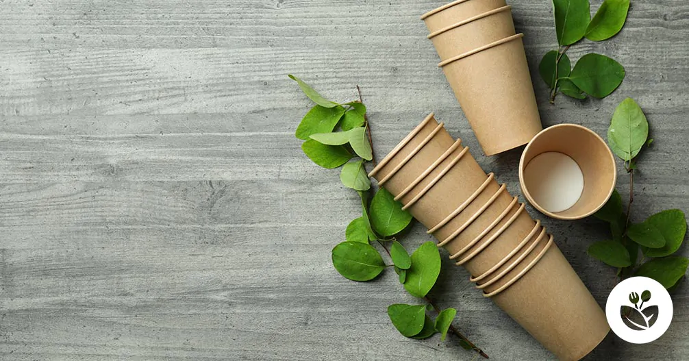 buying guide for plastic disposable cups